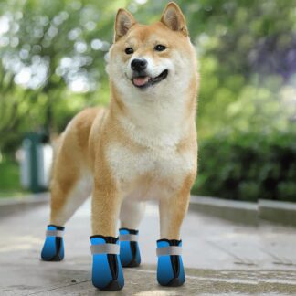 Mega's Gaming Dog Socks